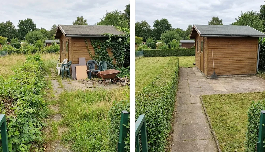 Vorher-Nachher: verwilderter Kleingarten mit Gartenhaus, danach gemäht und Hecke geschnitten